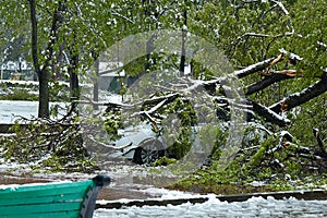 Hurricane-damaged car