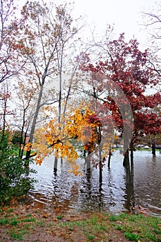 Hurricane flood and wind damage