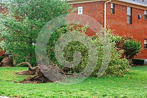 Hurricane flood and wind damage