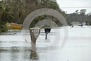 Hurricane flooded street with mail box surrounded with water in Florida residential area. Consequences of natural