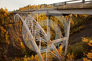 Hurricane Gulch Autumn in Denali National Park