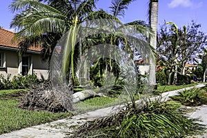 Hurricane Idalia Storm Damage Debris