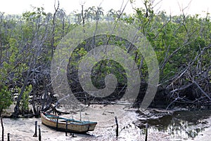 Hurricane Ike Damage