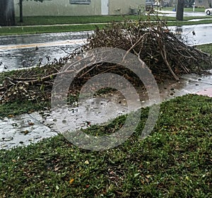 After Hurricane Irma