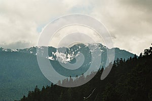 Hurricane Ridge in Clouds in Olympic National Park, Washington