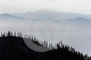 Hurricane Ridge Landscape in Olympic National Park