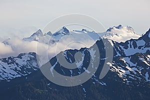 Hurricane Ridge Landscape in Olympic National Park