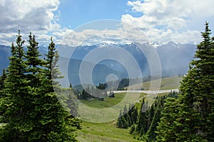 Hurricane Ridge In the mountains of the Olympic National Park, Washington state