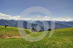 Hurricane Ridge