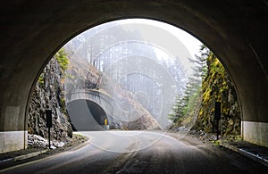 Hurricane Ridge, Olympic National Park photo