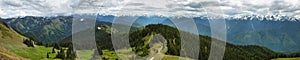 Hurricane Ridge of Olympic National Park