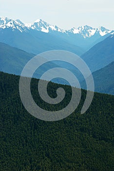 Hurricane Ridge, Washington