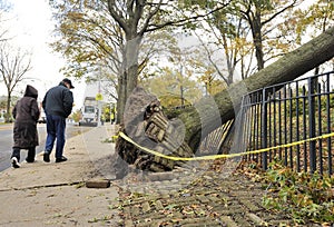 Hurricane Sandy