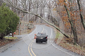 Hurricane Sandy A car passing under a tree