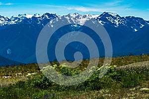 Hurricane Trail on Hurricane Ridge in Olympic National Park