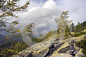 Hurricane wind in autumn mountains