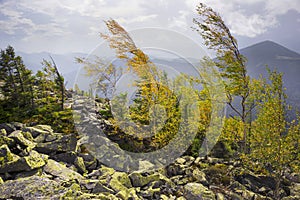 Hurricane wind in autumn mountains