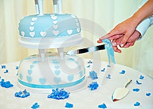 Husband and wife cutting weedding cake photo