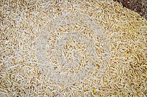 Husk of rice