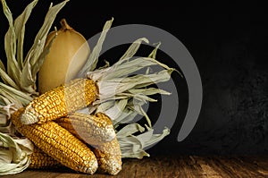 husked corn cobs with zucchini on a wooden surface against a background of black concrete plaster. front side view. autumn