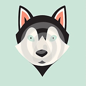 Huskies, breed dog square icon