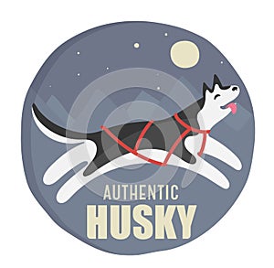 Husky authentic illustration