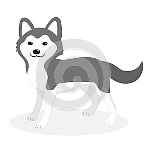 Husky breed dog icon, flat, cartoon style. Cute puppy isolated on white background. Vector illustration, clip-art.