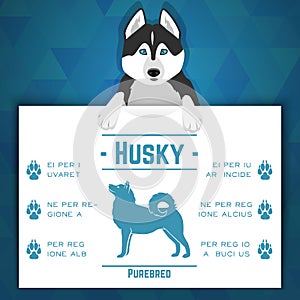 Husky dog banner