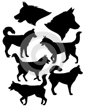Husky dog black vector silhouette set photo