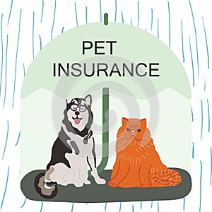 Husky dog and ginger cat under green umbrella with note pet insurance
