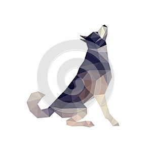 Husky Dog Illustration photo