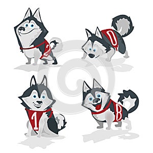 Husky dog with numbers 2018 isolated on white background.