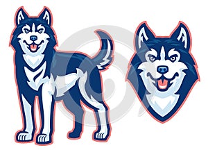 Husky dog set in sport mascot style photo
