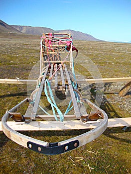 Husky Dog Sled and harness used in Spitzbergen, Norway