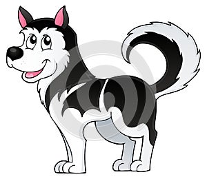 Husky dog theme image 1