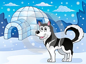 Husky dog theme image 3