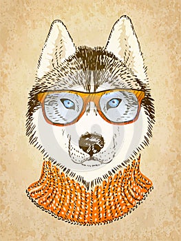 Husky Dog. Vector illustration, eps10.
