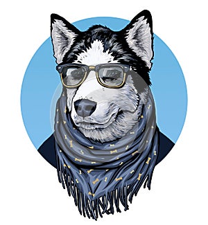 Husky. Dog wearing spectacles and scarf. ÃÂ¡olor graphic illustration photo