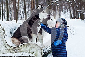 Husky dogs kissing little boy.