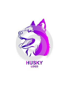 Husky logo. Vector of a dog siberian husky on white background. Husky neon logo. Dog in profile