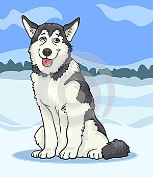Husky or malamute dog cartoon illustration