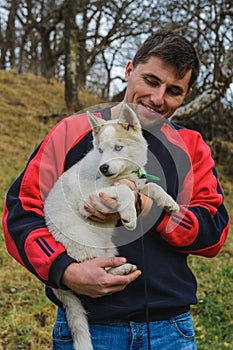 Husky puppy, gray little doggy on the hands of a man
