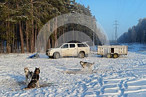 Husky team arrived for training