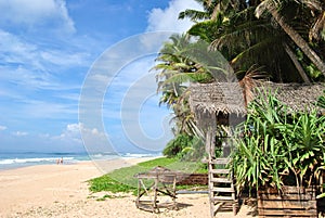 A hut on the background of the sea, palm trees.