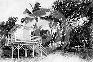 Hut on beach with palm trees in pencil drawing style