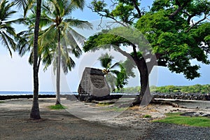 A hut on the beach at Pu`uhonua o Honaunau the Place of Refuge on the Big Island of Hawaii