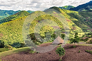 Hut in the Bonga forest reserve in southern Ethiopia