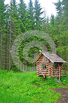 Hut on chicken legs in Dendrology garden in Pereslavl-Zalessky city