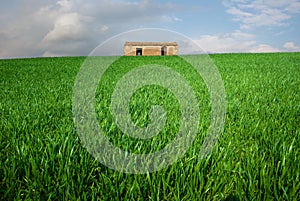 Hut in farm field