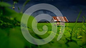 Hut in farmland of people in countryside Thailand and Overcast sky.